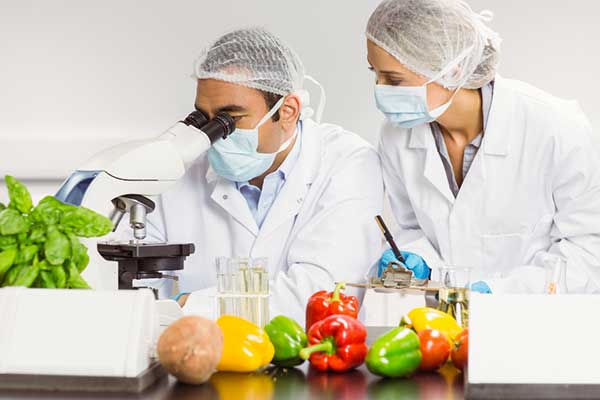 EFSA 2025 QPS Update - New Microorganisms for Food Safety