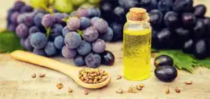 Grape Seed Extract Allowed in Foods by Health Canada