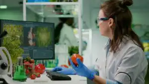 Illustration of a food additive compliance checklist for Health Canada submission