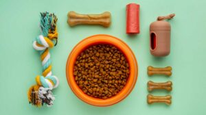 Pet supplements and veterinary health products comparison between the U.S. and Canada