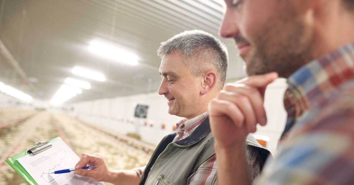 CFIA feed regulatory modernization updates for Canadian businesses