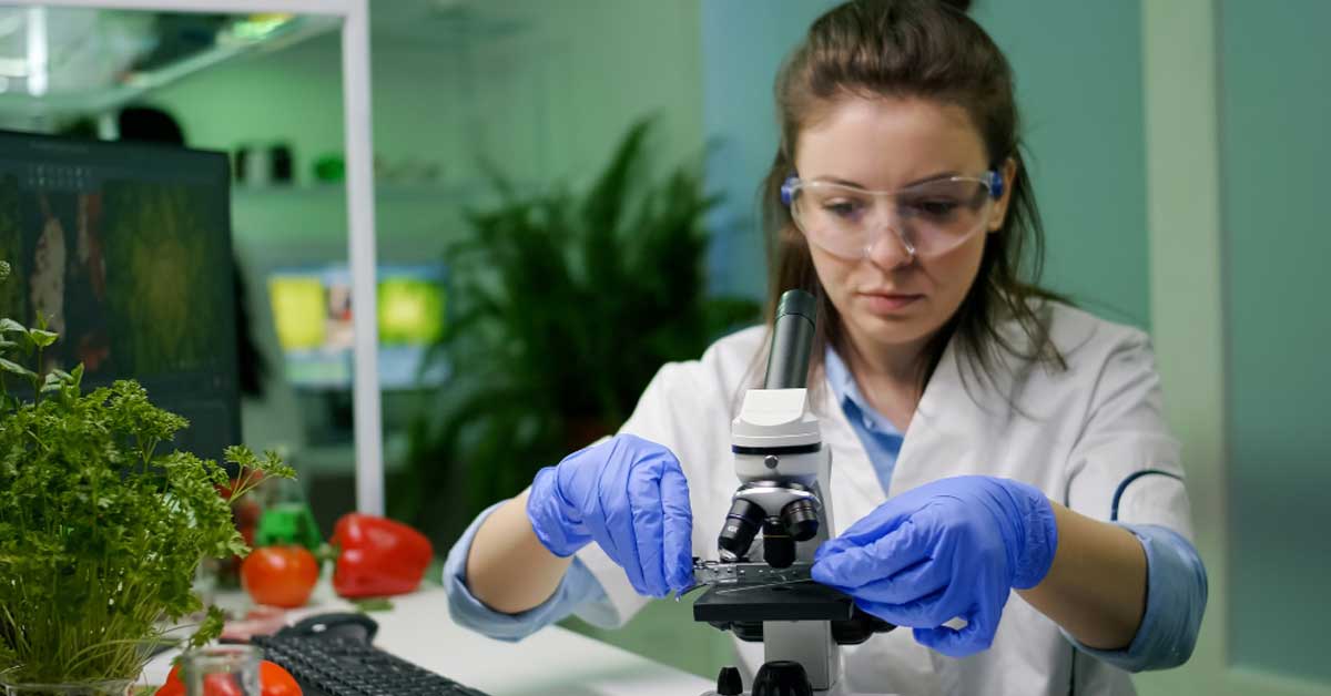 Researcher analyzing clinical data for EFSA novel food approval