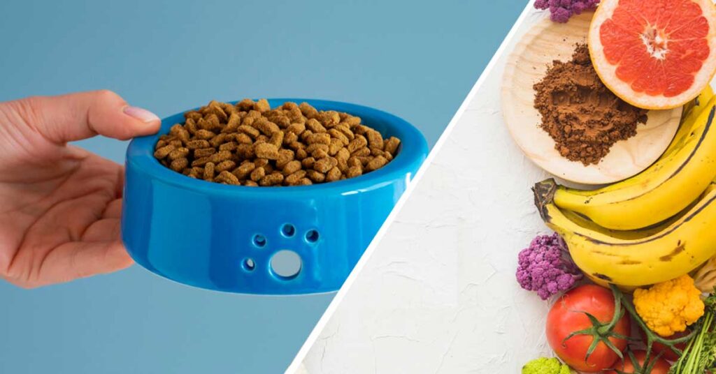 Comparison between importing human food and animal food into Canada