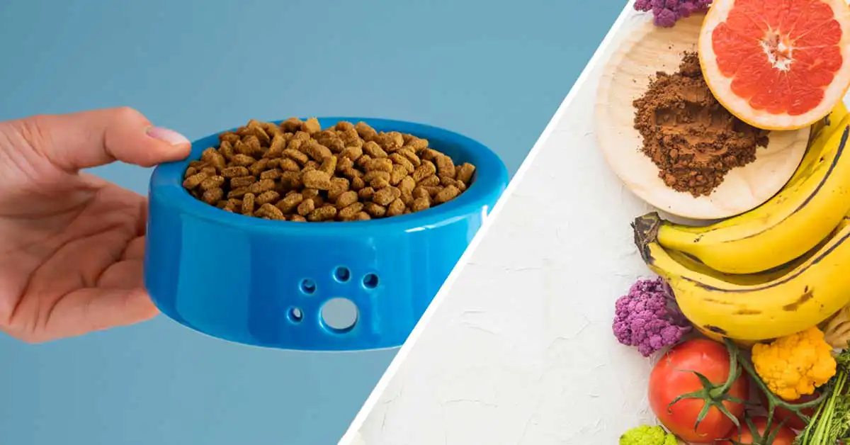 Comparison between importing human food and animal food into Canada