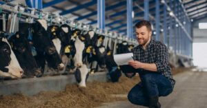 CFIA notice on final implementation of Feeds Regulations 2024