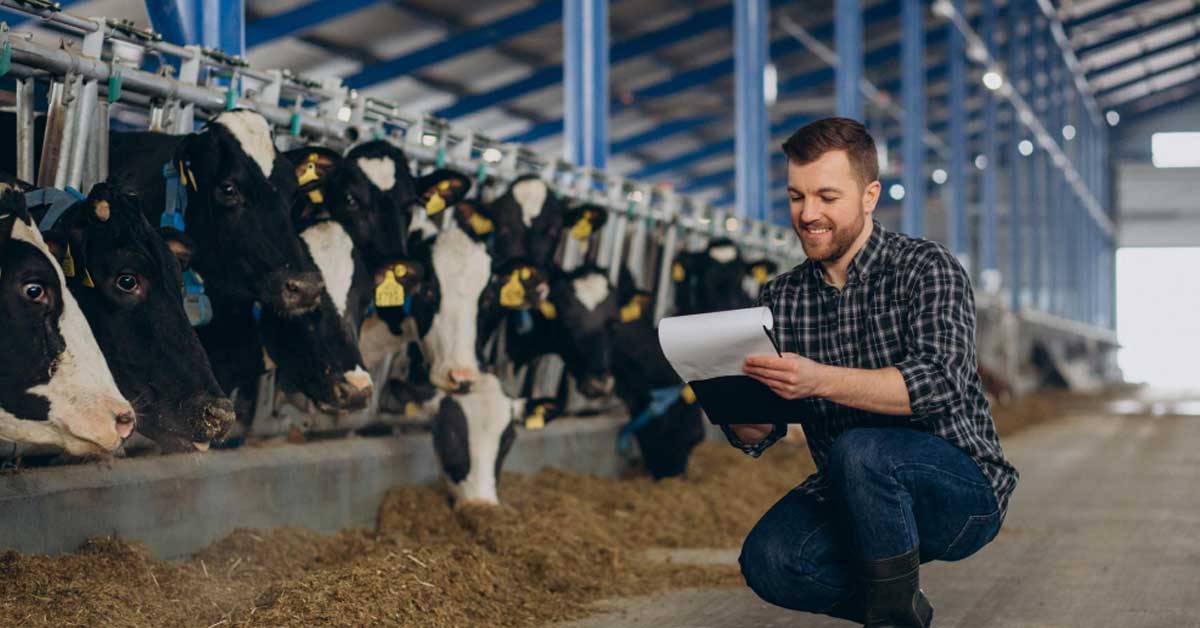 CFIA notice on final implementation of Feeds Regulations 2024