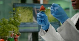 FSANZ assessment process used to determine whether a food is novel.