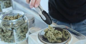 Cannabis retail standard operating procedures documentation for compliance in Canada