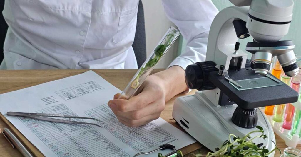 Side-by-side comparison of a whole plant ingredient and a concentrated extract illustrating whole ingredient vs extract GRAS safety assessment differences