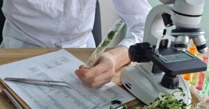 Side-by-side comparison of a whole plant ingredient and a concentrated extract illustrating whole ingredient vs extract GRAS safety assessment differences