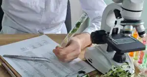 Side-by-side comparison of a whole plant ingredient and a concentrated extract illustrating whole ingredient vs extract GRAS safety assessment differences
