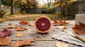 FDA regulatory update on color additives in food removal of outdated authorizations