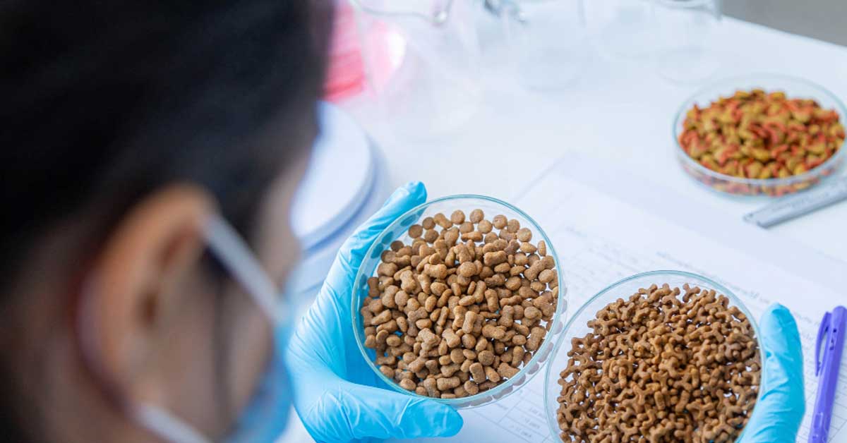 Scientist reviewing animal food ingredient samples and regulatory documents