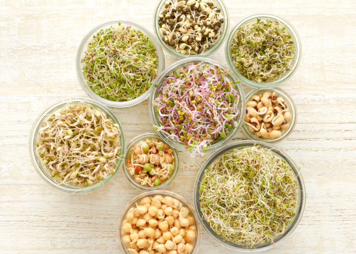 GRAS Notification Ingredients Gras Notice GRAS Certification