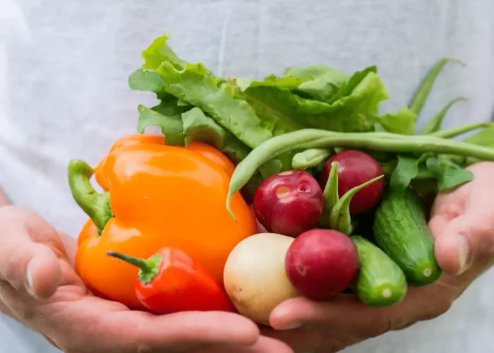 Food Label Requirements in Canada French Compliance
